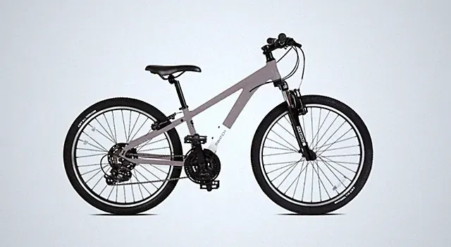 Batch Youth 24 Mountain Bicycle - Regular Pirce - $430