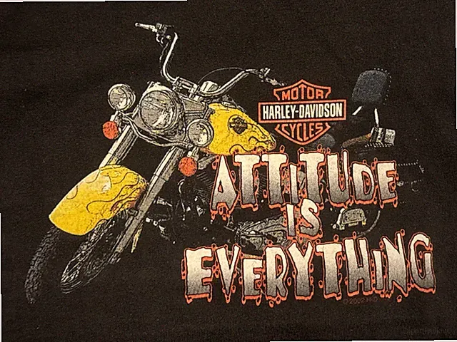 Harley Davidson motorcycle shirt Grand Canyon HD Attitude Is Everything Kids 6 8